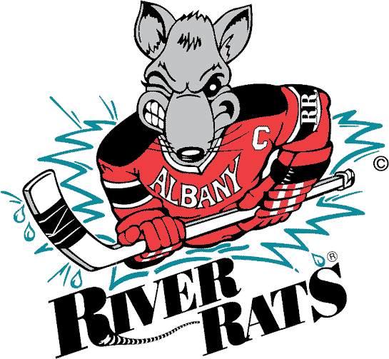 Albany River Rats 1993 94-2005 06 Primary Logo iron on transfers for T-shirts